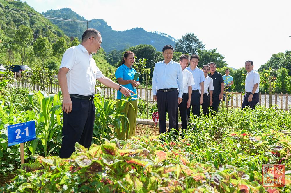 刘涛在吉首市调研时强调：脚踏实地久久为功把产业做强起来 在推动高质量发展上展现更大作为